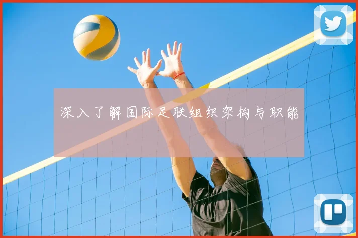 深入了解国际足联组织架构与职能