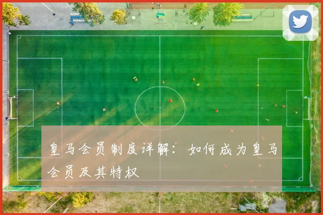 皇马会员制度详解:如何成为皇马会员及其特权